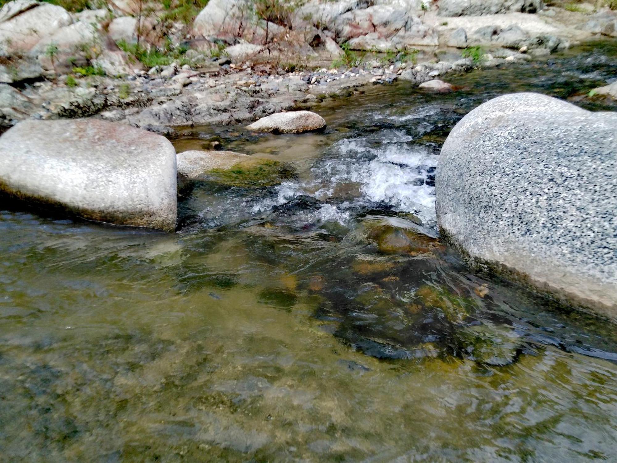 Sierra Tayrona Hostel El Zaino Dış mekan fotoğraf