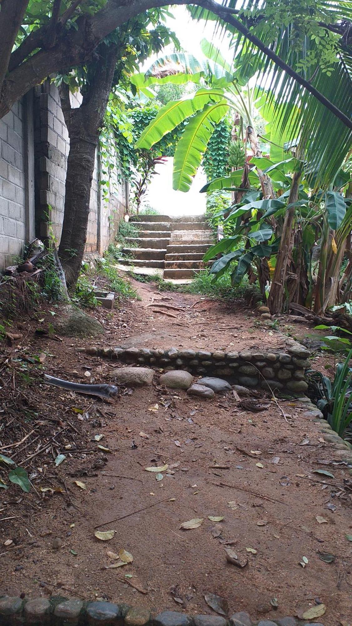 Sierra Tayrona Hostel El Zaino Dış mekan fotoğraf