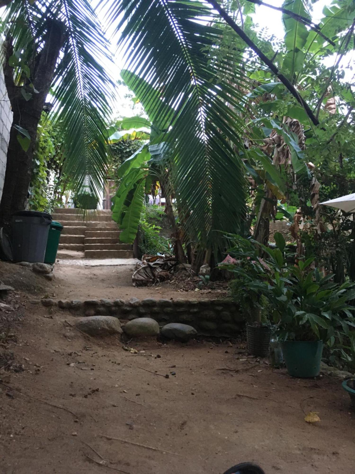 Sierra Tayrona Hostel El Zaino Dış mekan fotoğraf